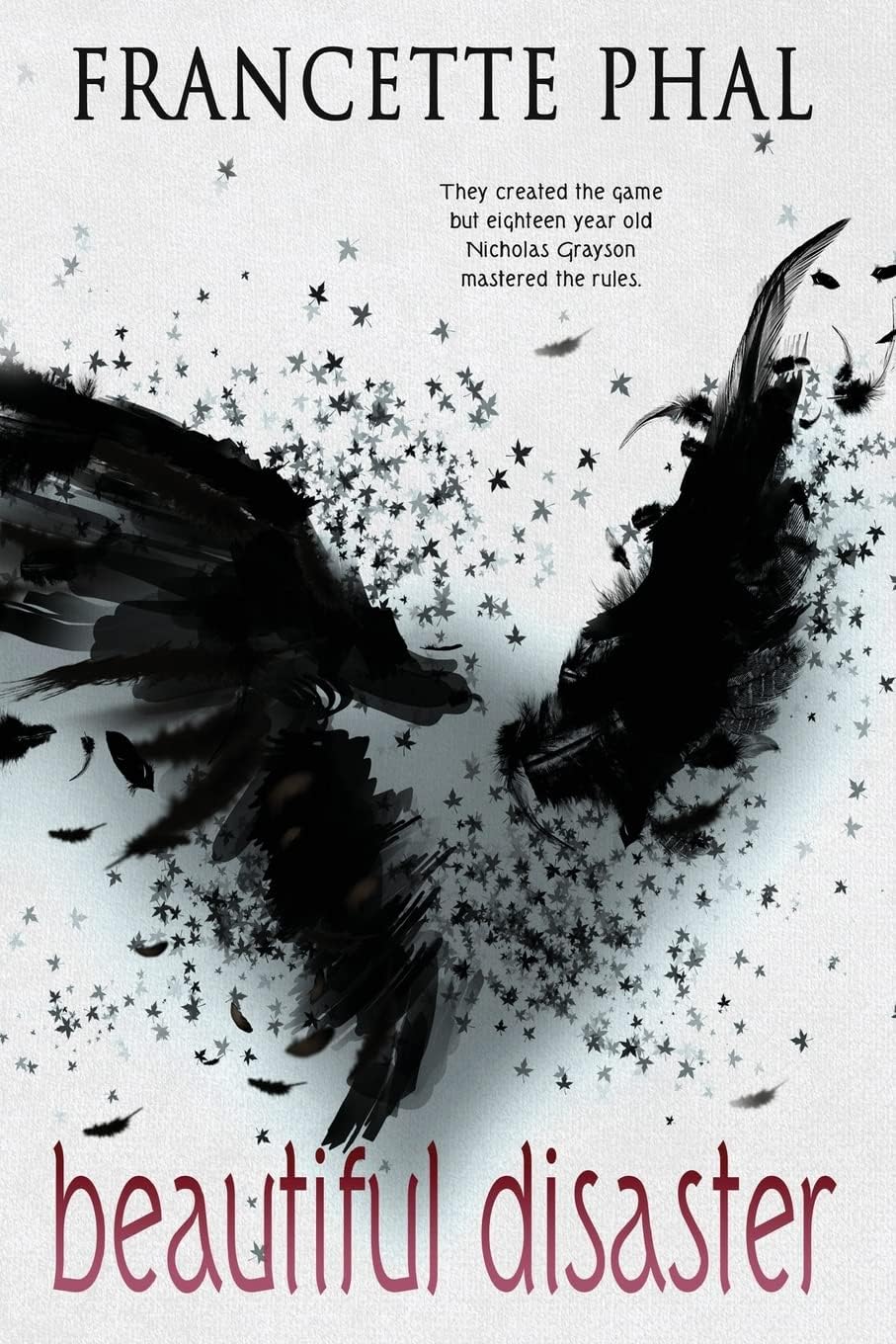Beautiful Disaster (The Bet)