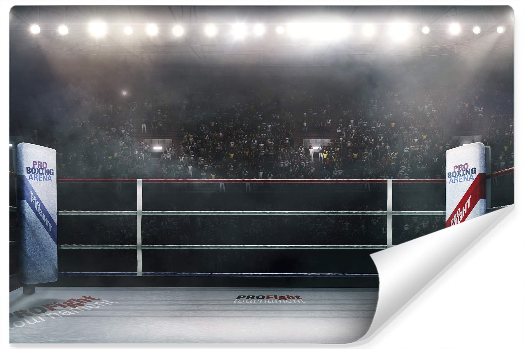 Muralo Papier Peint Auto-adhésif Garage Ring de boxe Boxe Sport - 416x290 cm