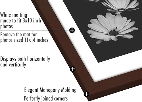 Vista 610 de Americanflat Portarretratos de 5 x 6 pulgadas con plexiglás pulido, juego de 5 portarretratos de 2 x 3 pulgadas con paspartú o para fotos de 5 x 6