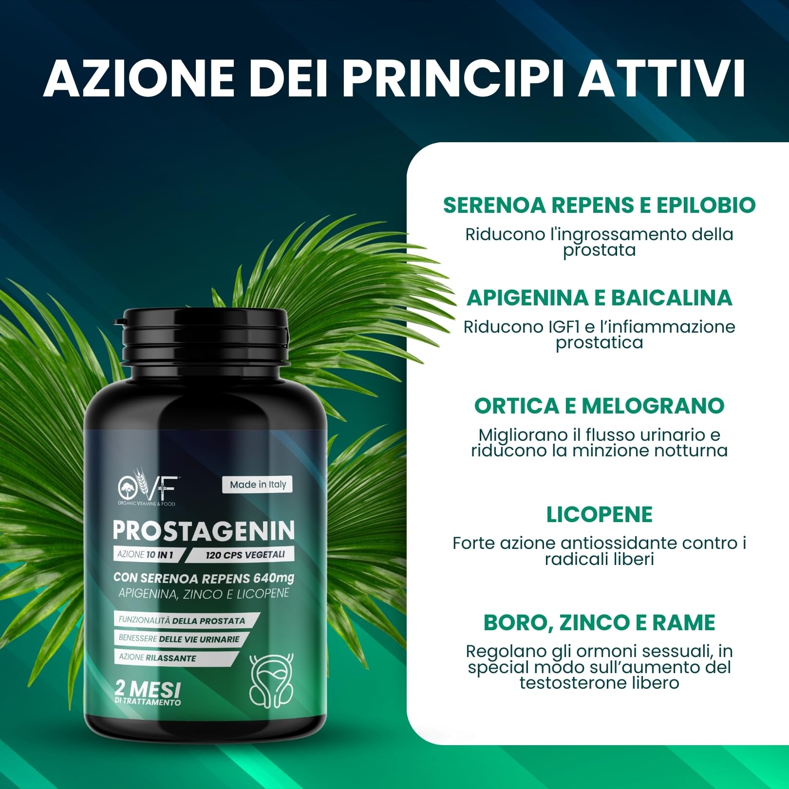 OVF Prostagenin - Serenoa Repens 640mg | 120 Capsule | Formula 4 in 1 con Apigenina, Zinco e Licopene | Supporto per la Funzionalità della Prostata e il Benessere delle Vie Urinarie