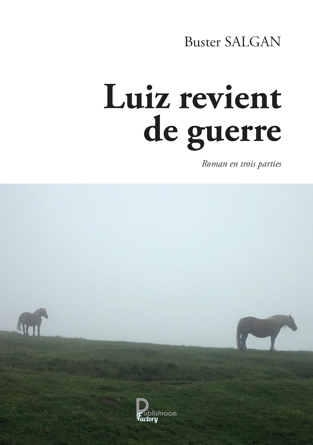Luiz revient de guerre: Roman en trois parties (French Edition)