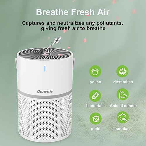 Miniatura 6 de Paquete de 2 purificadores de aire para dormitorio con cuatro filtros dos purificadores de aire ya incluidos para humo polen caspa de cabello olor