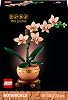 LEGO Botanicals Mini Orchid 10343 – Decorative Flower Making Set for Adult Women and Men with Light Color Terracotta Flower Pot and Wood Effect Pedestal, Home and Office Decoration Gift Idea (274 Pieces)
