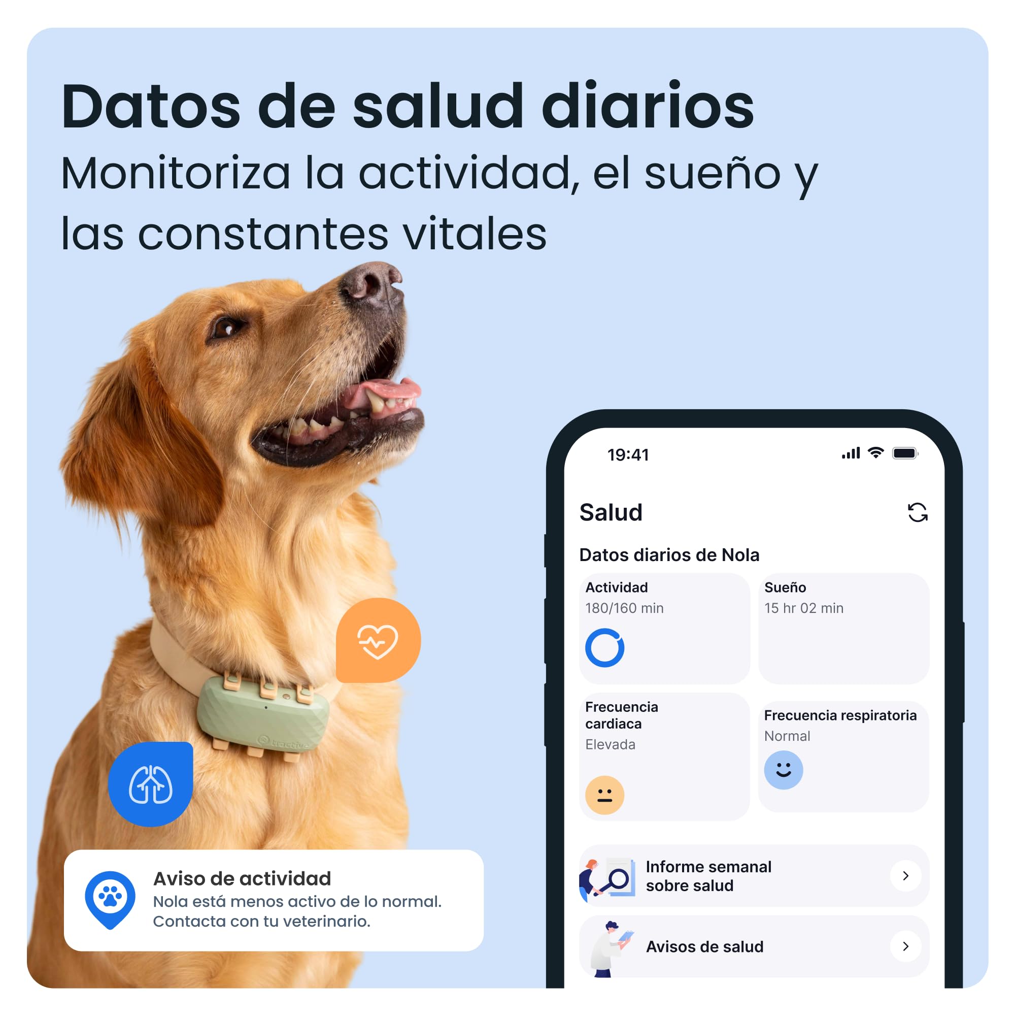 Tractive GPS perros XL | Hasta 1 mes de autonomía | Líder de mercado | Localización en tiempo real en todo el mundo | Alertas antifuga | Monitor de actividad con avisos de salud