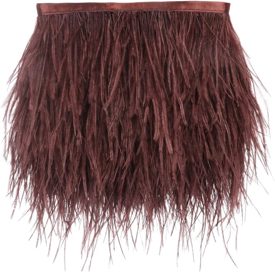 Ostrich Feathers Sewing Fringe Trim Ribbon for Crafts Clothes Accessories Latin Wedding Dress DIY 2 Yards 4-6inch Width (Black)