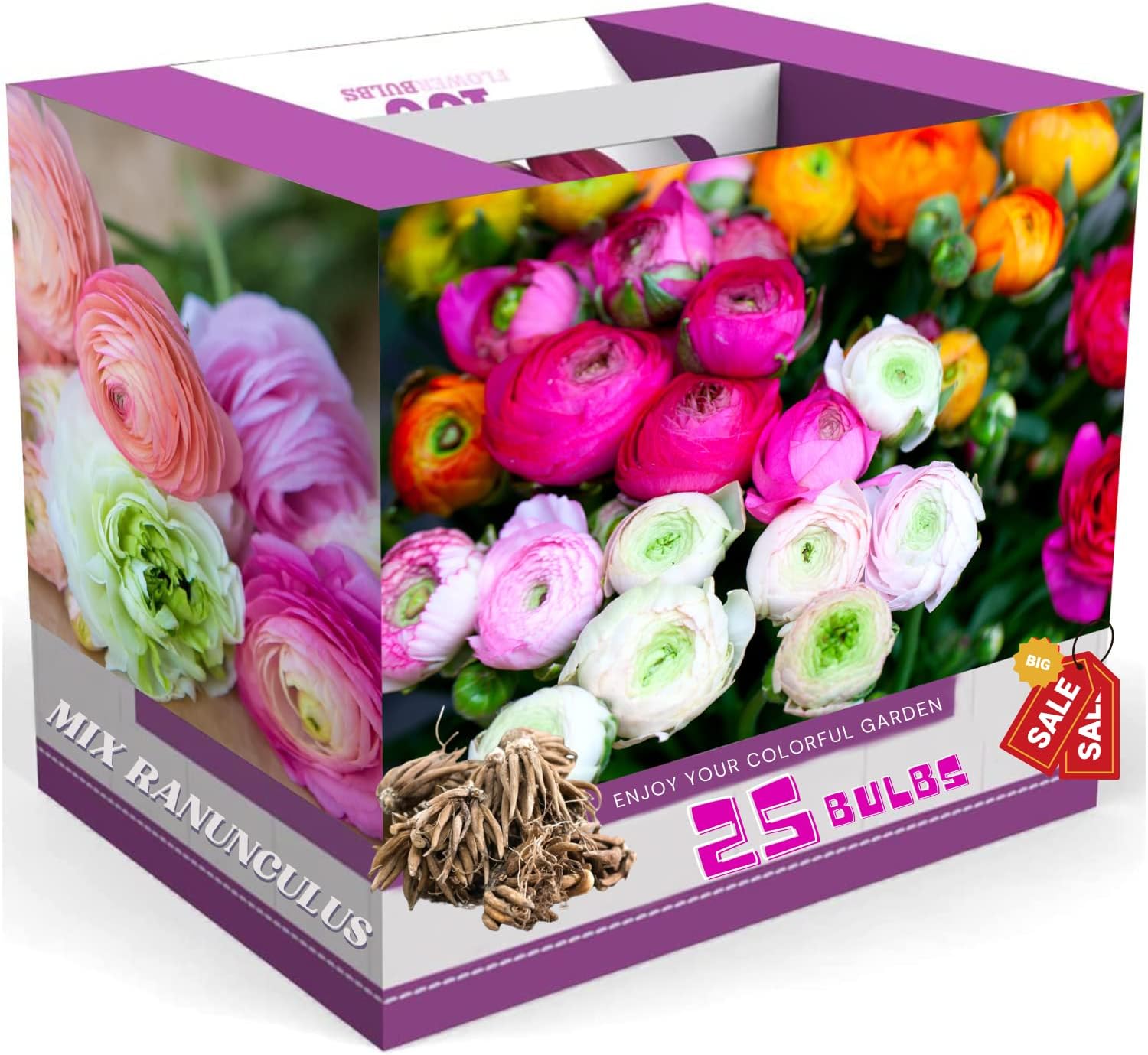 Ranunculus Bulbs for Planting, 25 Mix Ranunculus Bulbs for Fall Planting, French Peony Ranunculus Corms Bulk Ranunculus Flowers Buttercups
