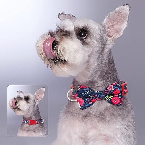 Miniatura 2 de Didog Collar floral para perro con lazo, lindos collares de perro con lazo desmontable, suave y cómodo collar de perro de primavera y verano para