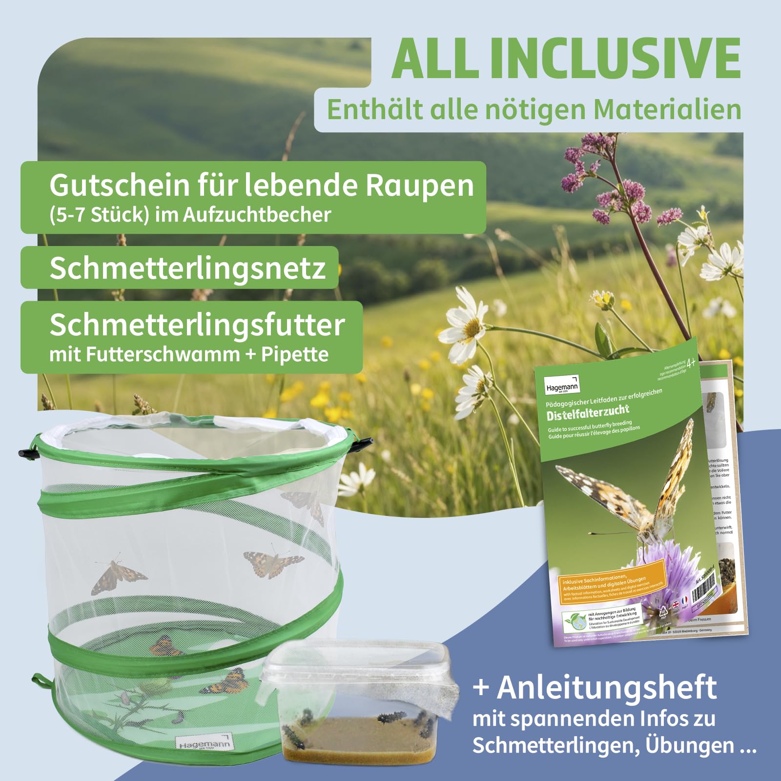 Hagemann Schmetterlingszucht-Set, Starter (mit Gutschein für 5-7 Raupen) | Entwicklung von der Raupe zum einheimischen Distelfalter beobachten | Inklusive Lernmaterialien