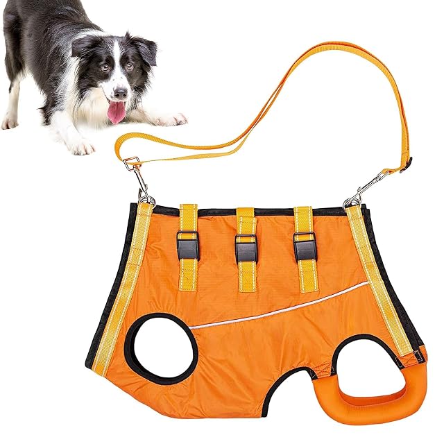 Foto 7 de 8 de Arnés para silla de ruedas para perros