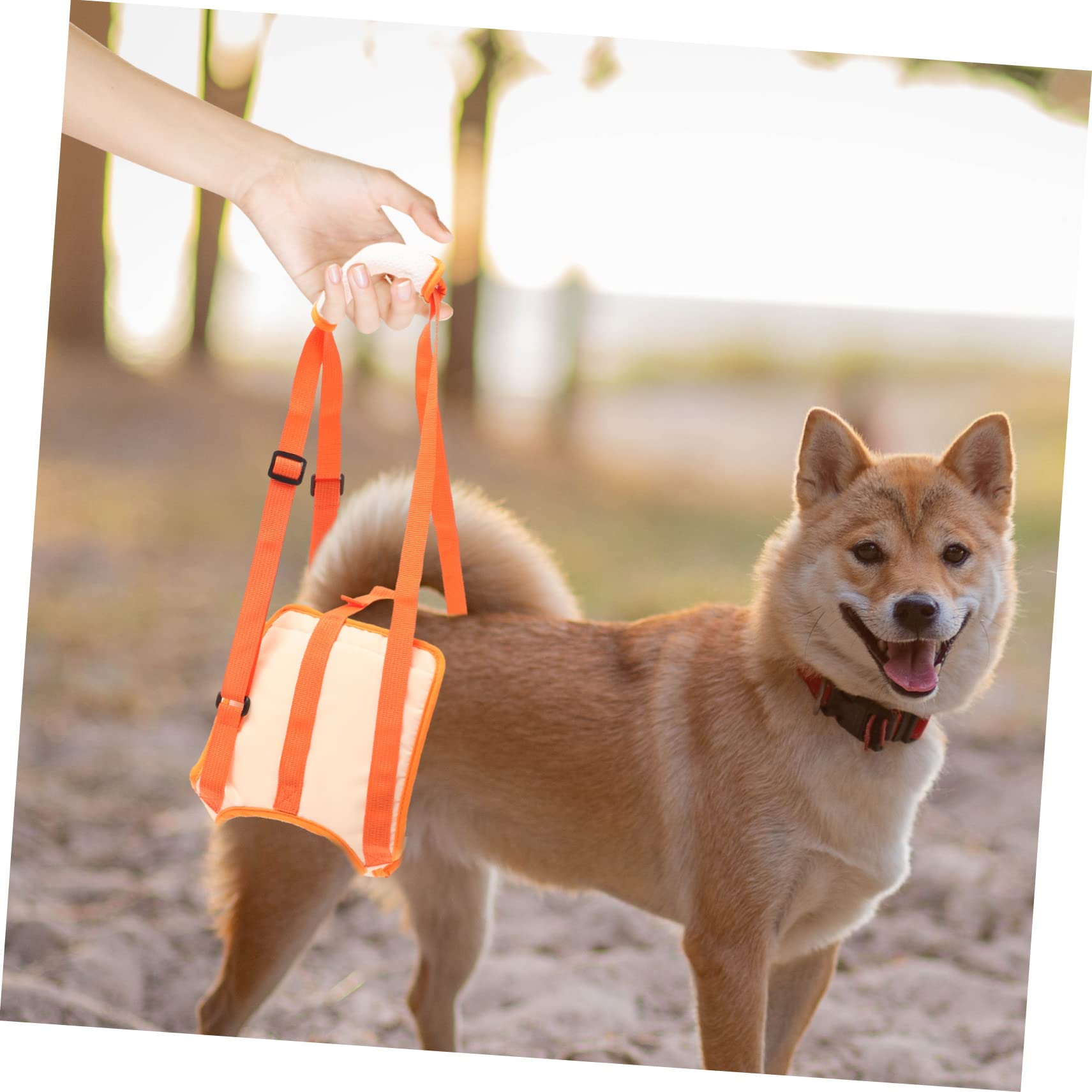 BESPORTBLE 4 Pièces Ceinture D'Assistance Aux Jambes pour Animaux De Compagnie Harnais De Protection pour Chien Harnais D'Extérieur pour Animaux De Compagnie Harnais De Soutien pour Chien