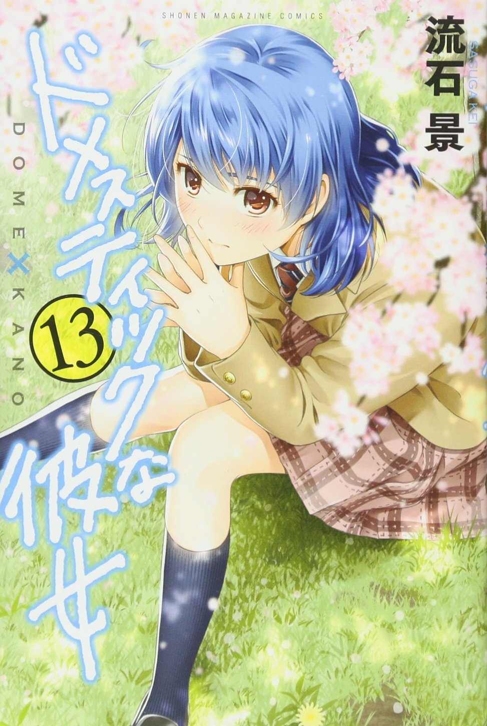 ドメスティックな彼女(13) (少年マガジンコミックス) | 流石 景 |本