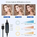 Desk Ring Light with Stand, Amcuke Ring Light with Clip 10W 3000K-6500K Dimmable Travel Desktop Light for Phone Selfie Laptop Zoom Video Makeup Vlog Tiktok Live Streaming (Black with Stand)