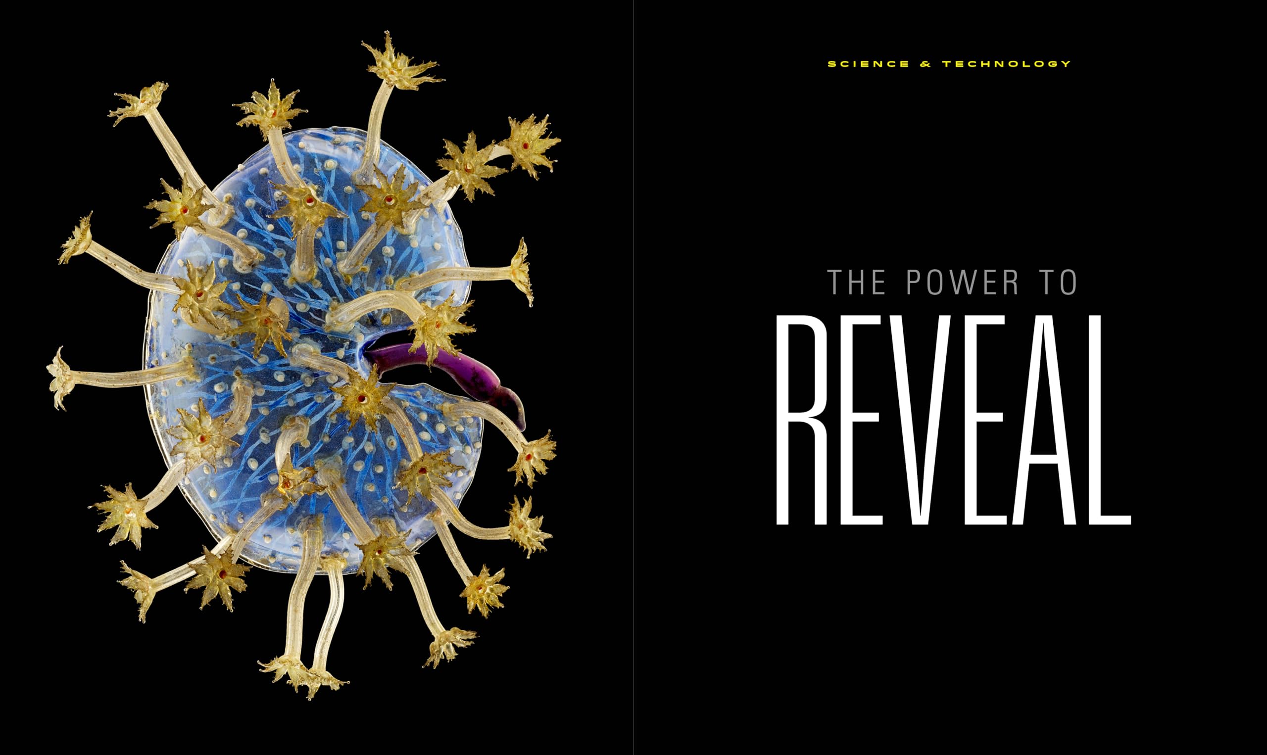 National Geographic The Photographs: Iconic Images from National Geographic (National Geographic Books)