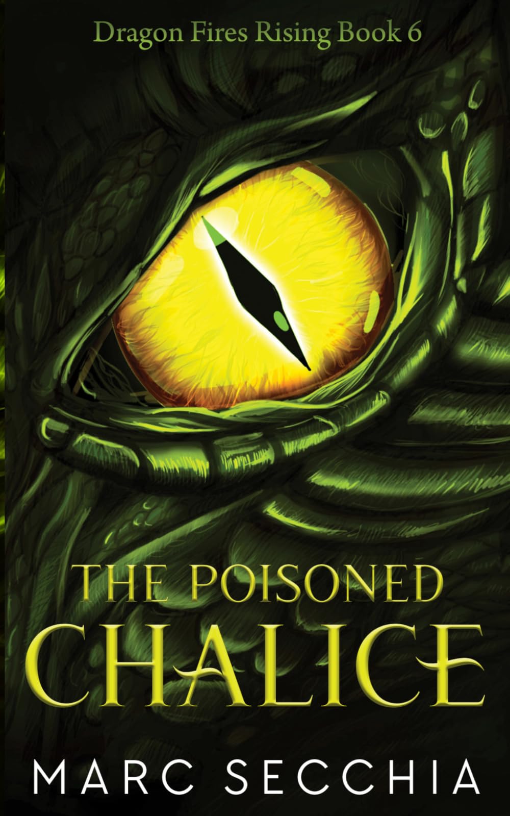 The Poisoned Chalice (Dragon Fires Rising)