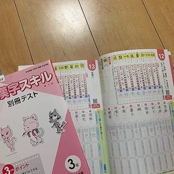 【中古】 中学国語のスキル演習読解編 中古】 中学国語のスキル演習読解編 中学国語 読解トレーニング