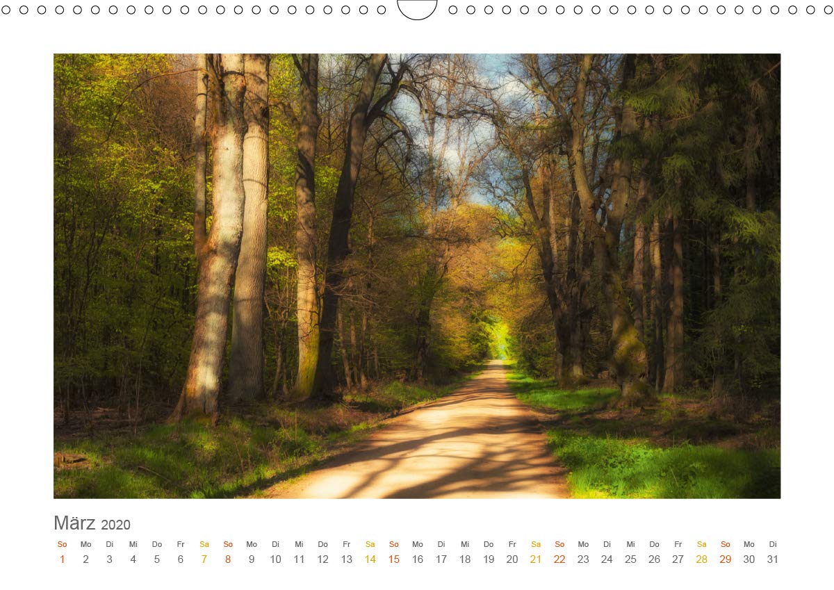 Im Märchenwald des Untertaunus (Wandkalender 2020 DIN A3 quer): Monatskalender, 14 Seiten, farbig (Monatskalender, 14 Seiten ) (CALVENDO Natur)