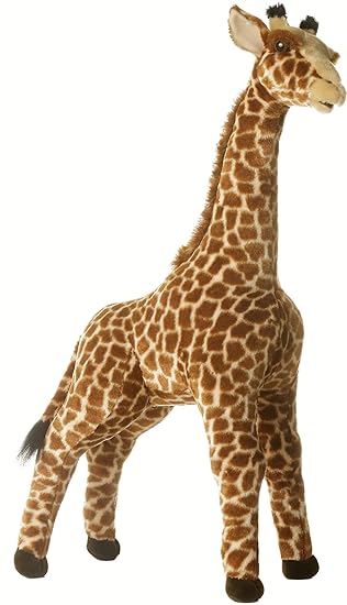 Acacia Giraffe 31