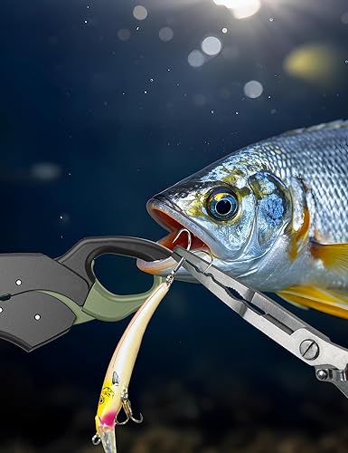 Miniatura 3 de Fish Gripper 9.2 pulgadas, cortador de línea multifunción, alicates de pesca, kit de herramientas de pesca de agua salada, equipo de pesca con