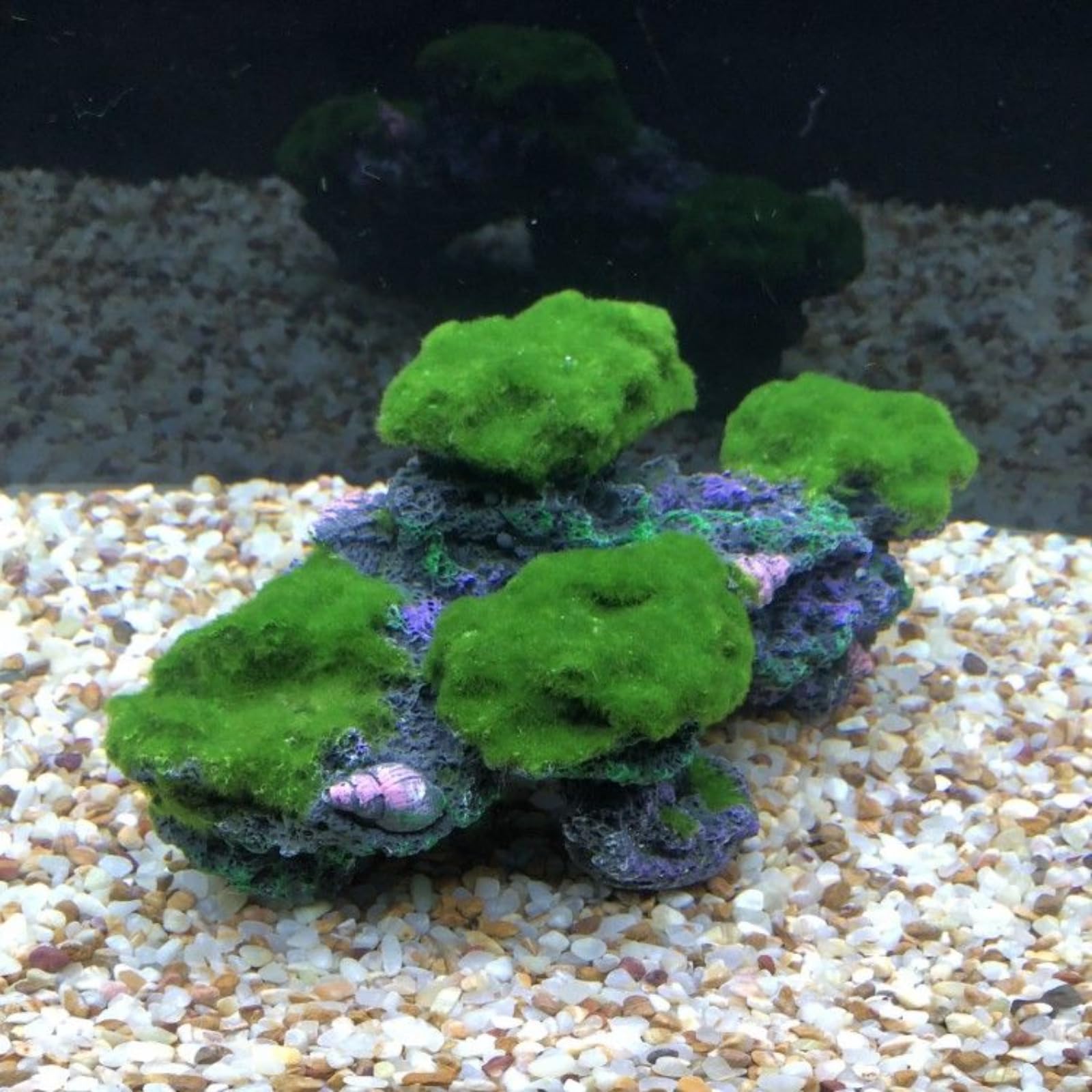 Decorazione per acquario in resina, barriera corallina, 27,5 cm, decorazione per acquario