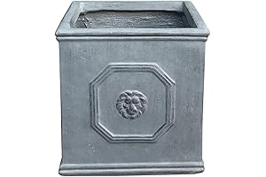 Kante Faux Concrete Planter: A Stylish Touch for Your Plants