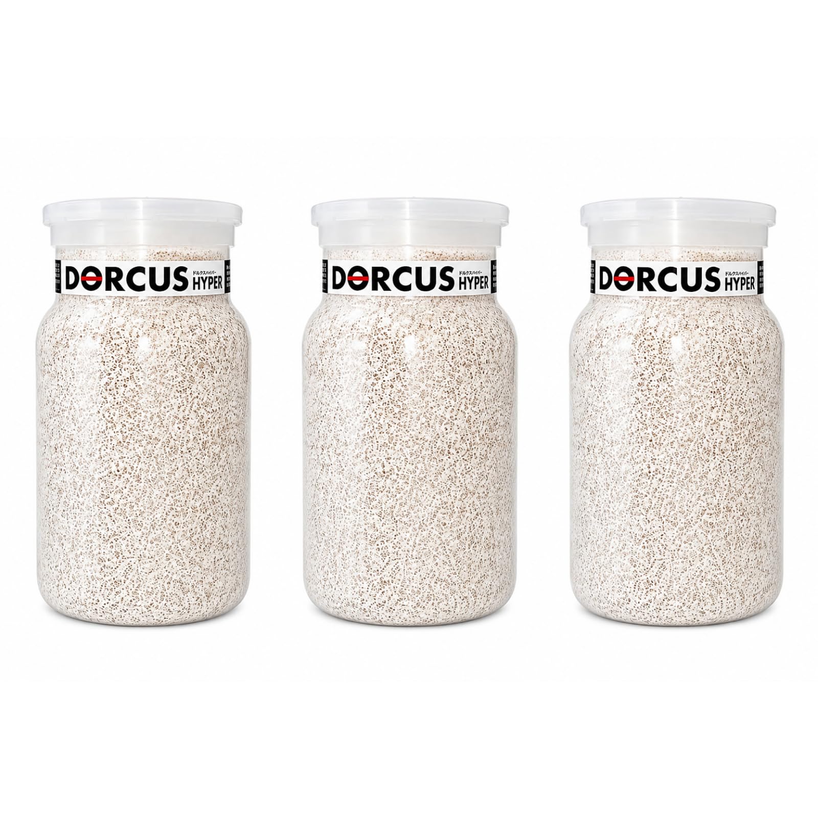 Amazon | 【3個セット】菌糸ビン オオヒラ茸菌 1100cc クワガタ幼虫用