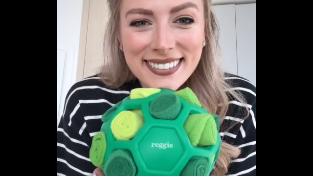 Pet Supplies : Reggie Snuffle Ball for Dogs | Interactive Treat