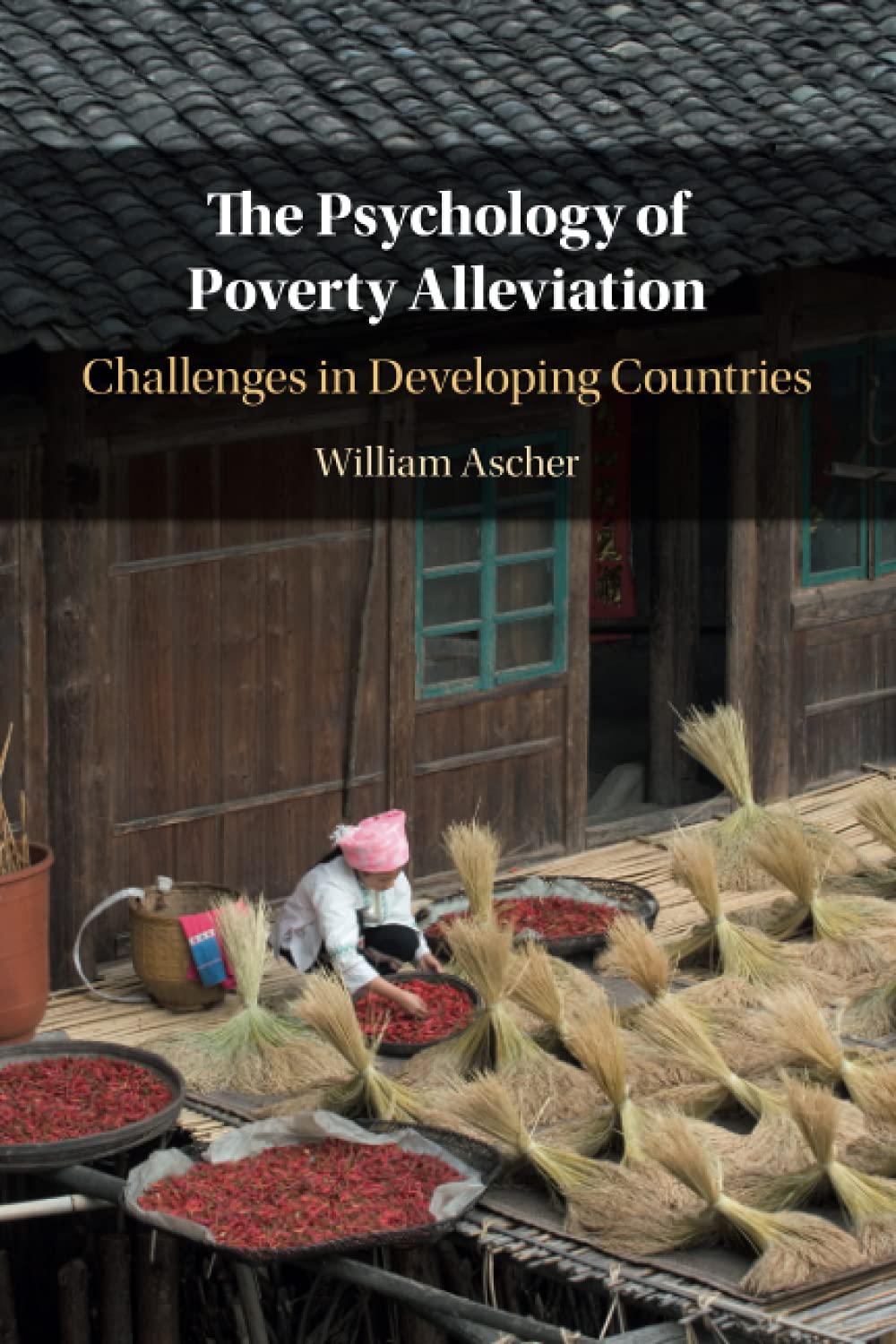The Psychology of Poverty Alleviation: Challenges in Developing Countries