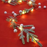 Vista 7 de Luces de Navidad para exteriores e interiores, USB blanco cálido, guirnalda de Navidad, mini luz de hada, 25 LED, 6.5 pies, con temporizador remoto