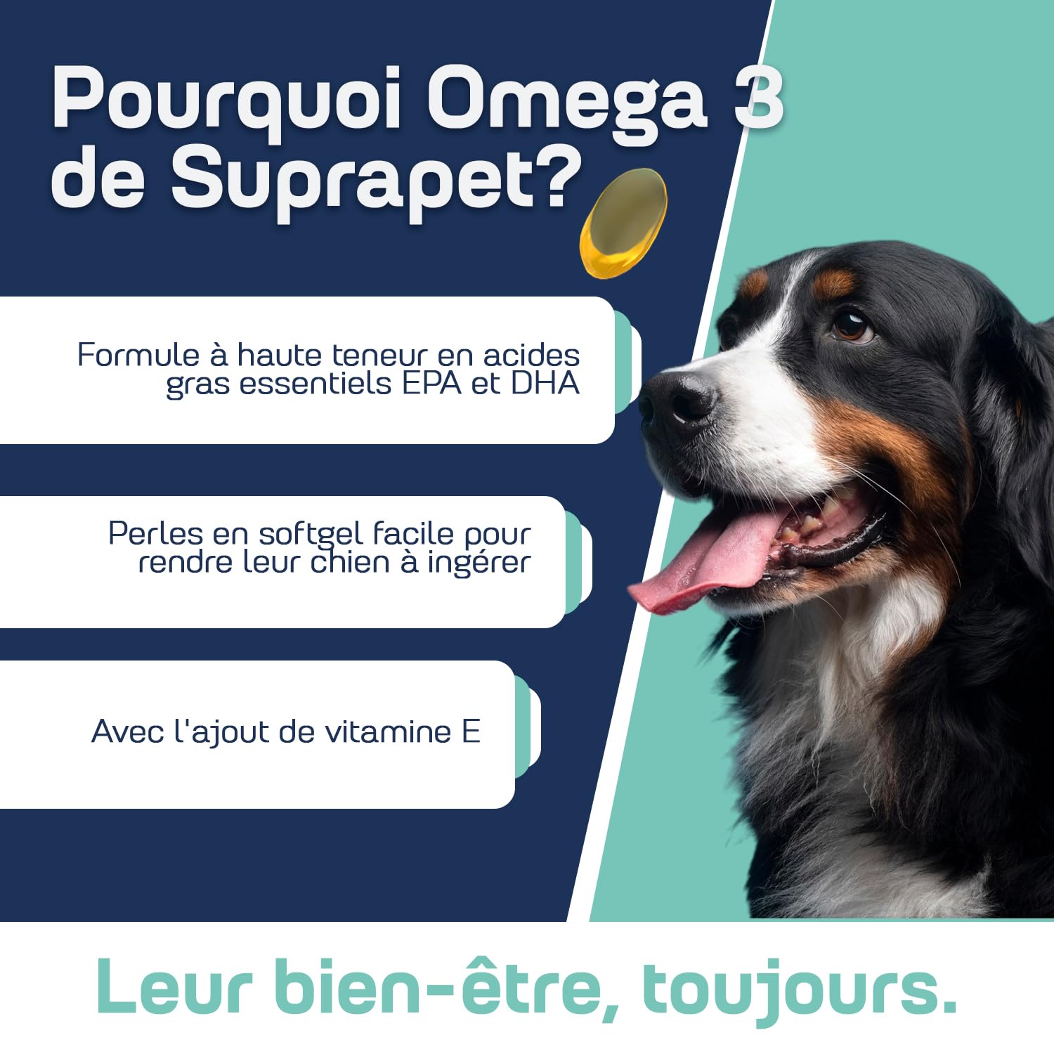 Suprapet Omega 3 pour Chiens et Chats Huile de Poisson, EPA, DHA et Vitamine E 80 Perles. Aliment Complémentaire Naturel pour Le Pelage et Les Articulations (80 unités, Boîte de 1).