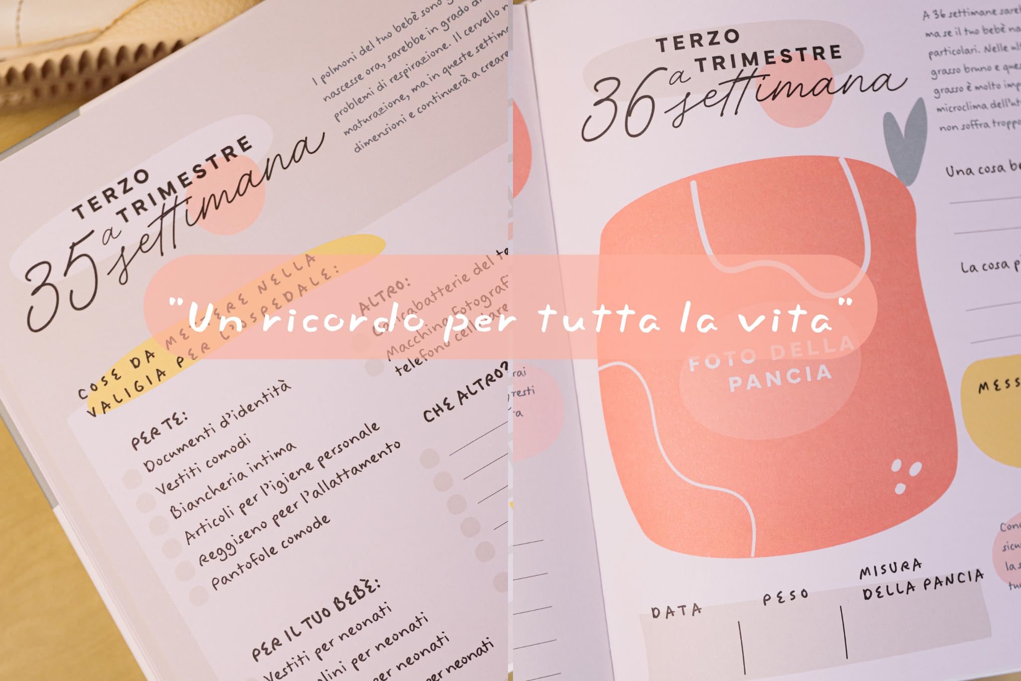 Diario della Gravidanza per Mamma - Album dei Ricordi per Future Mamme - Libro Gravidanza da Compilare con Spazio Foto e Pensieri Settimanalmente - 5