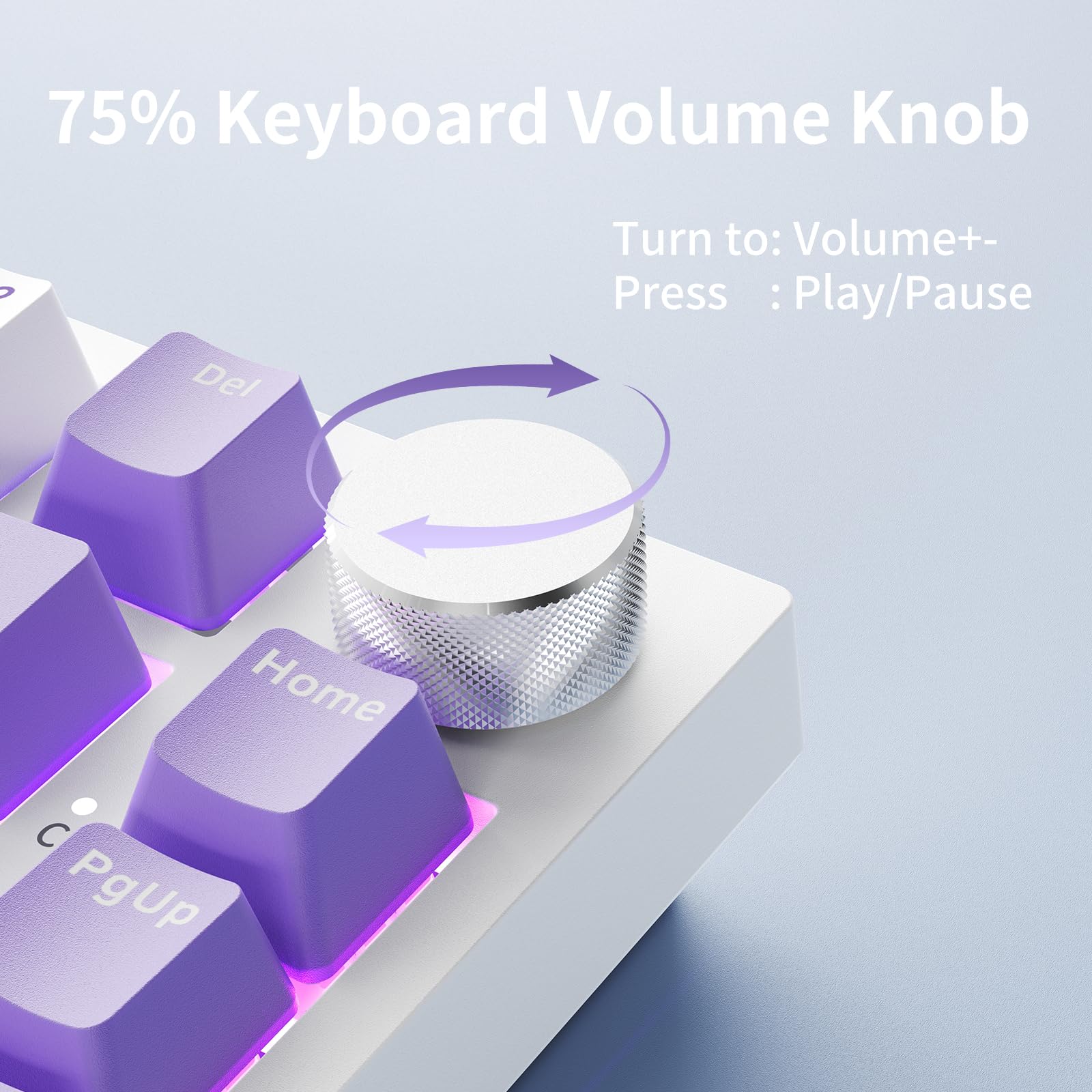 AJAZZ AK820 Wired Mechanical Keyboard, 75% Gaming Keyboard with Volume Control Knob, PBT Keycaps, 82 Keys, Five-Layer Sound Insulation Pad, South-Oriented RGB, Full-Key Hot Swap, Blue White Purple