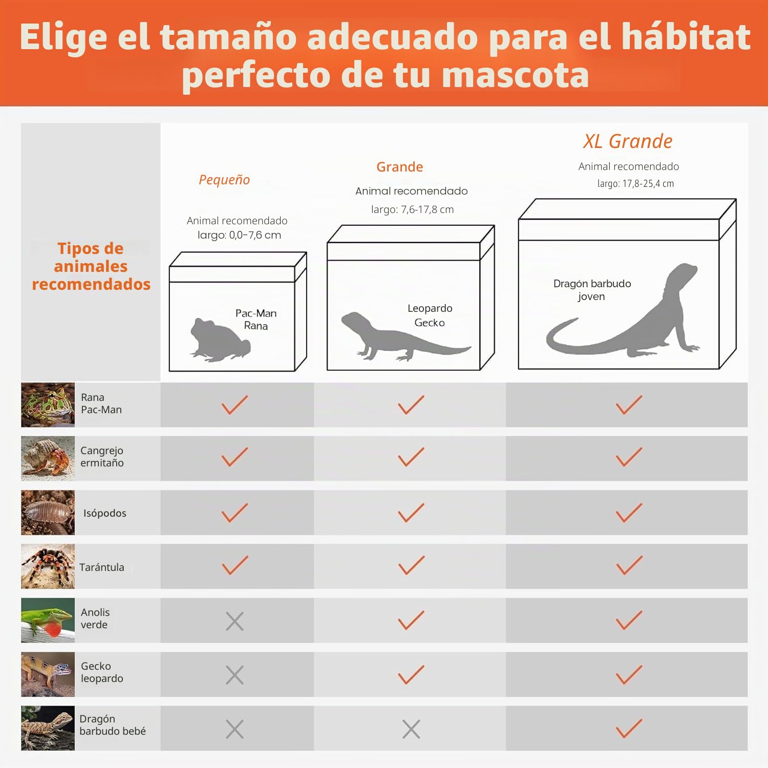 Caja de Alimentación de Insectos, Caja de alimentación para Reptiles, Estuche de Cría de Reptiles para lagartos, arañas, Ranas de Cuernos y escarabajos,Terrario para Reptil/Anfibios (12 * 7 * 9in)