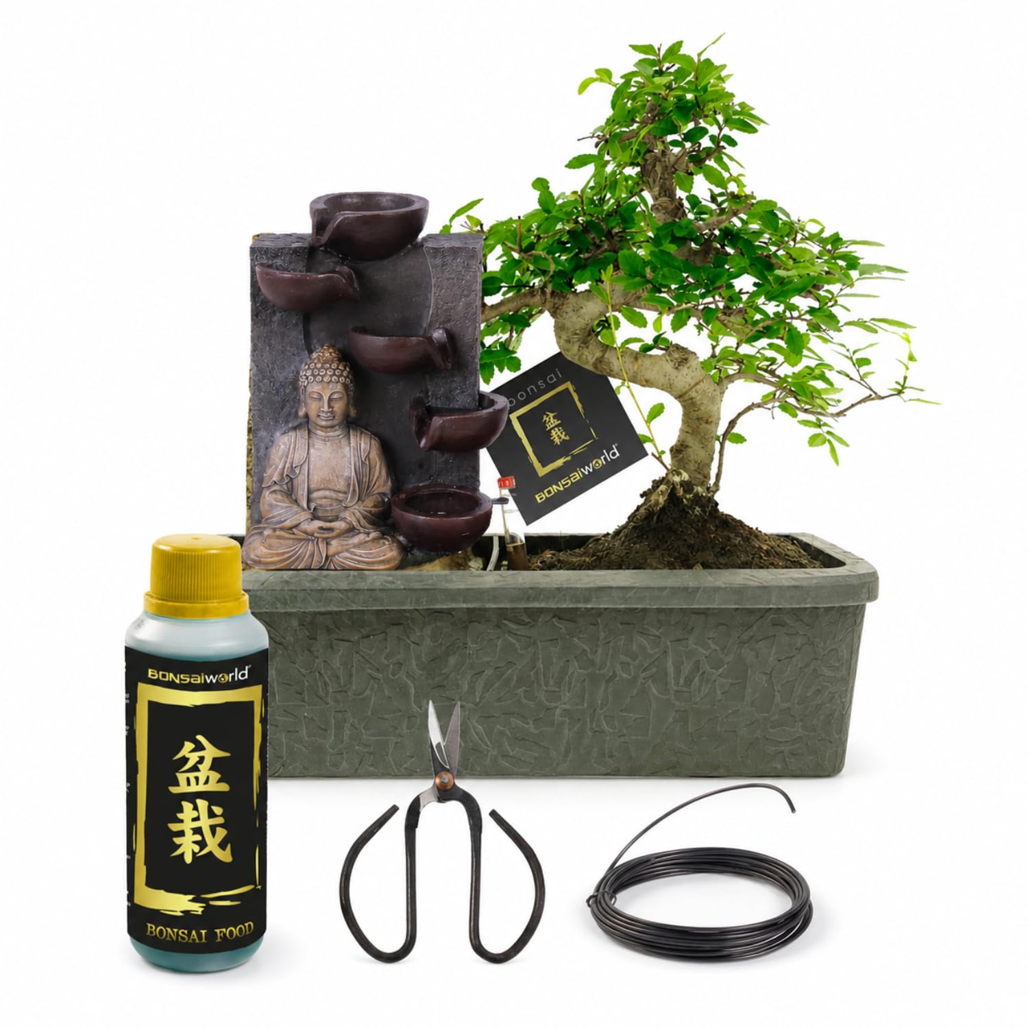 vdvelde․com - Bonsai con fontana Buddha, albero vero di 30 cm