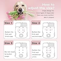 Vista 4 de Paw Legend - Pañales reutilizables para perro hembra, 3