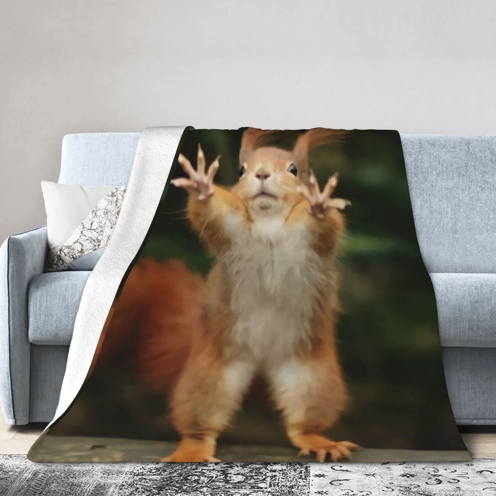 Squirrel Funny Animal Soft Micro Flannel Blanket Throw, Warm Cozy Lightweight Decorative Blanket for Sofa Couch Bed, Printed Blanket Gifts for Kids Girls Boys Women Men