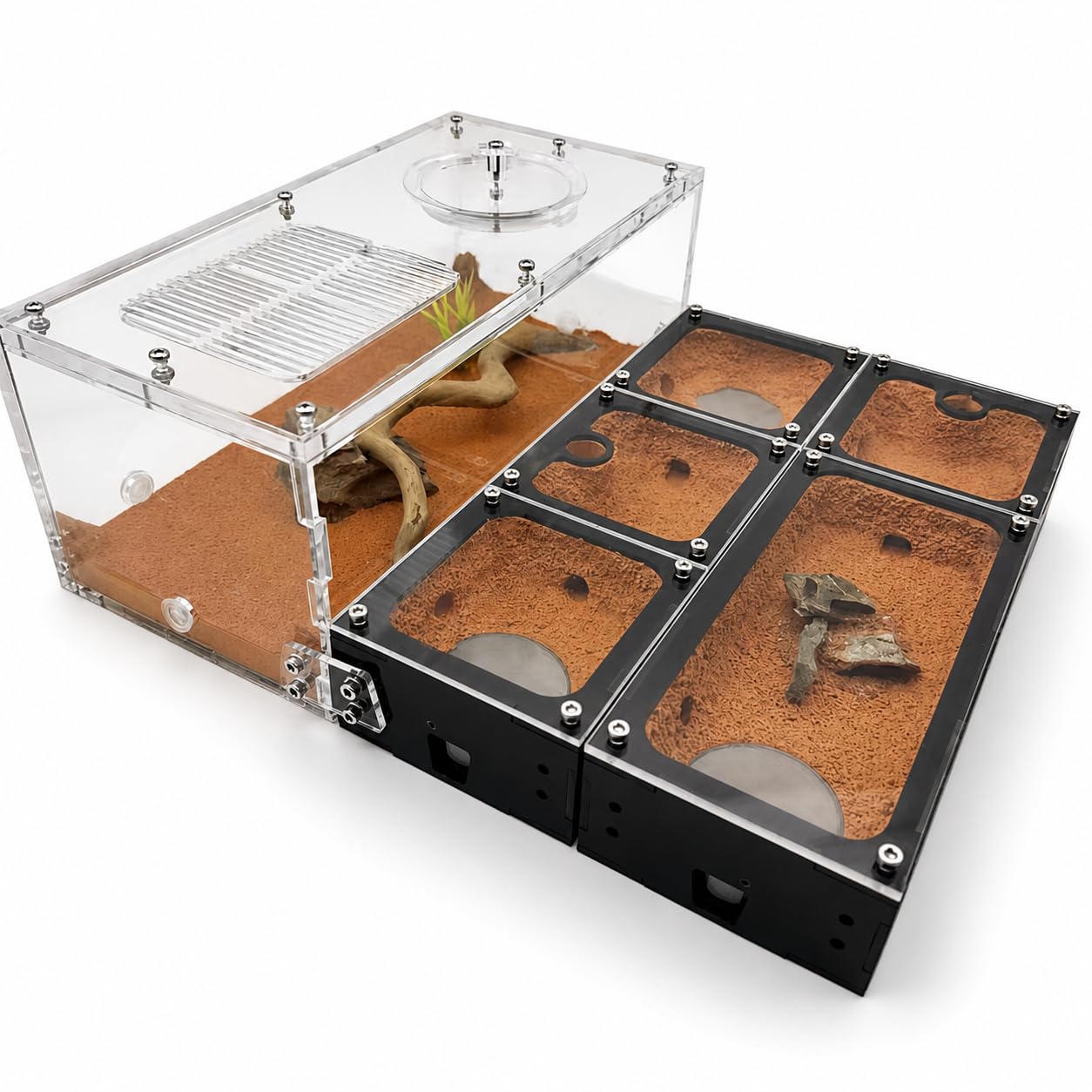Ferme à fourmis Terra Core Link, habitat modulaire haut de gamme pour expansion horizontale durable