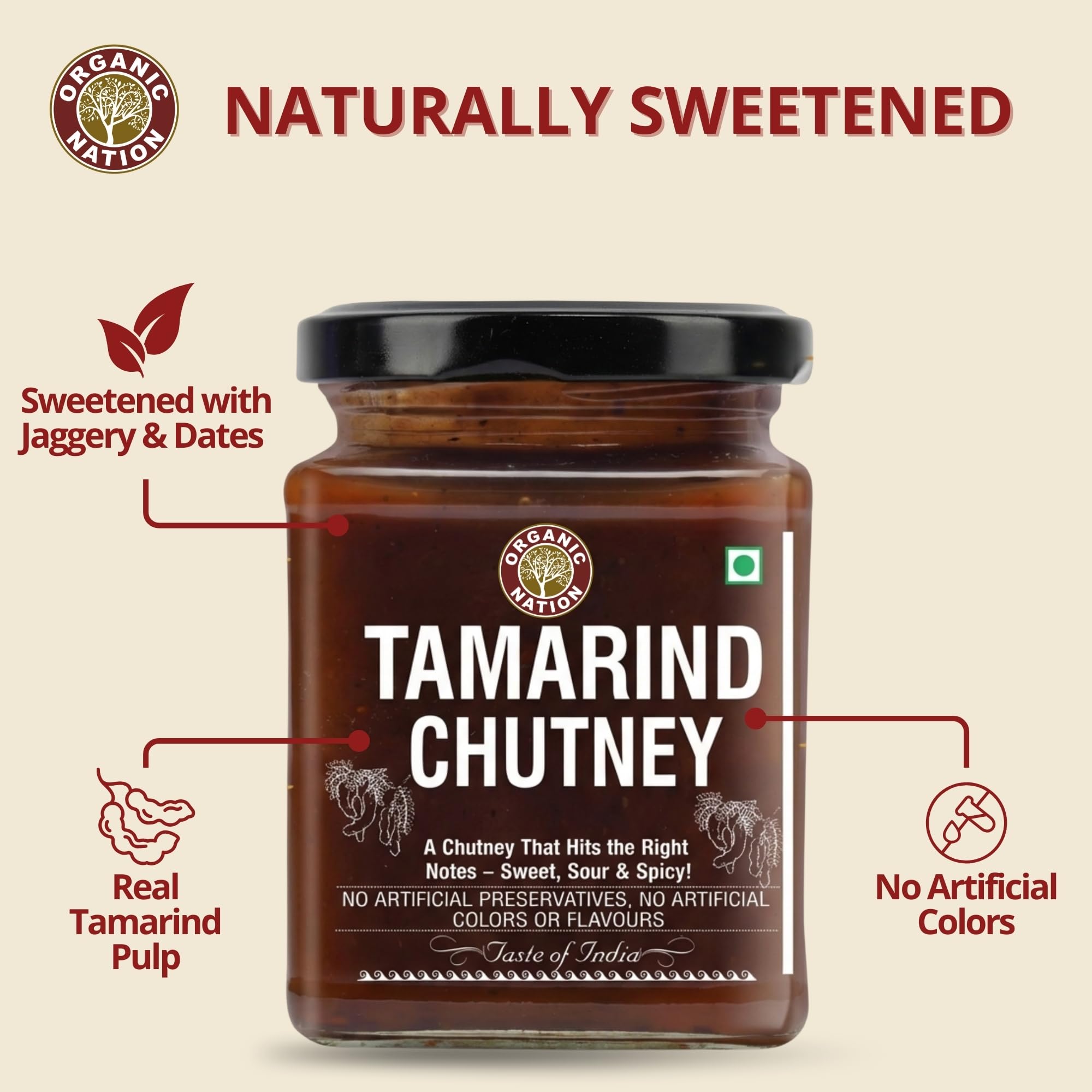 ORGANIC NATION Rich & Authentic Tamarind Chutney - Delicious Imli Chutney, Perfect Tamarind Sauce for Snacks, Natural Ingredients, Sweet & Tangy Tamarind Sweet Condiment - 300g, No Preservatives 1