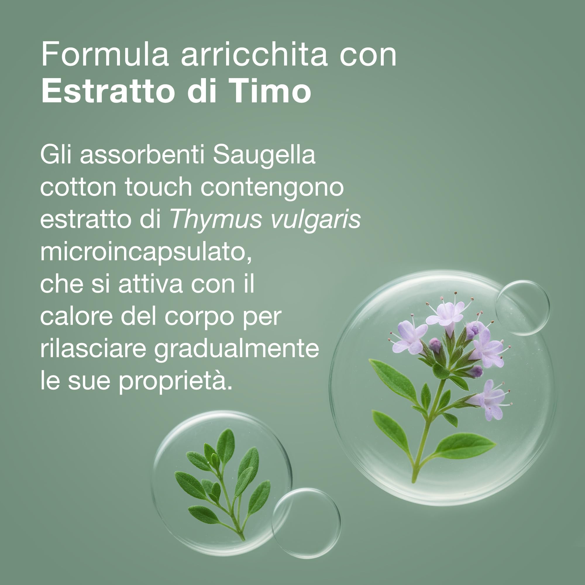 Saugella Assorbenti Cotton Touch Notte, 36 Assorbenti Cotone Notte con Ali, Azione Antibatterica, Antiodore e Lenitiva
