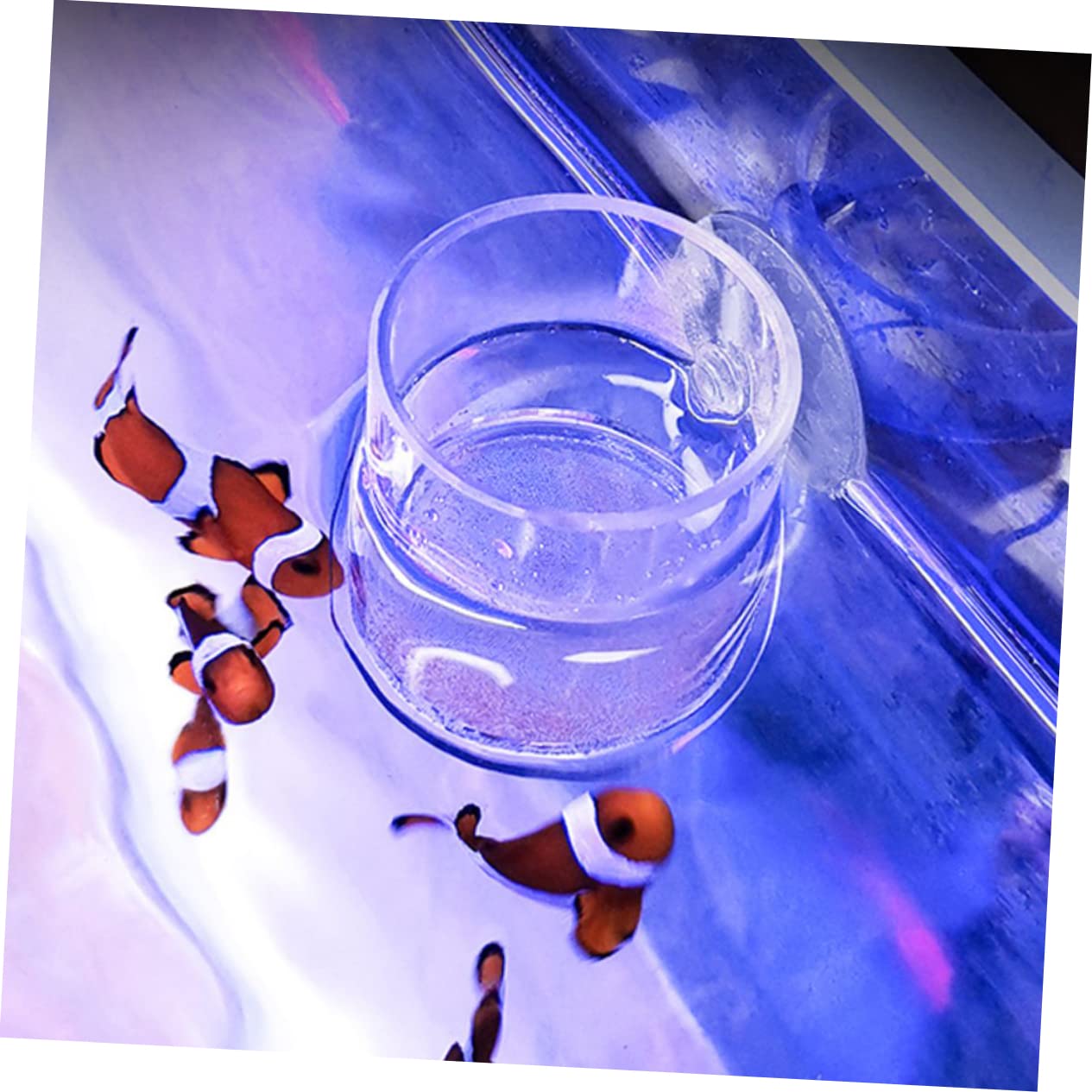 Kisangel 5stücke Futterring Für Aquarien Acryl-fütterungsring Mit Saugnapf Für Garnelen Und Kleine Tropische Fische Sorgt Für Sauberes Füttern Und Fördert Gesundes Wachstum