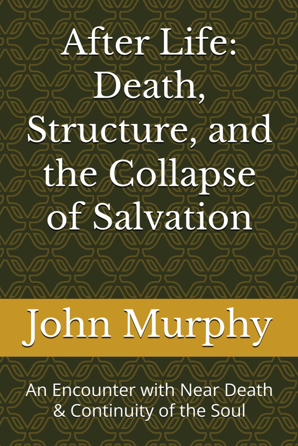 After Life: Death, Structure, and the Collapse of Salvation: An Encounter with Near Death & Continuity of the Soul