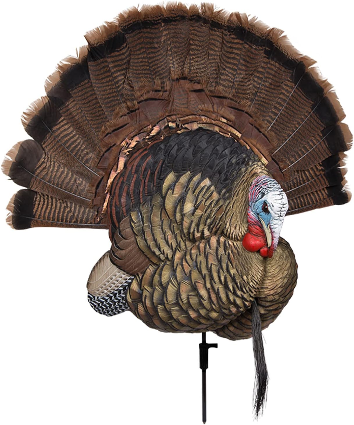 Avian-X Trophy Tom Turkey Decoy | Durable Realistic Lifelike Collapsible Standing Hunting Decoy with Carry Bag & Stake, AVX8021