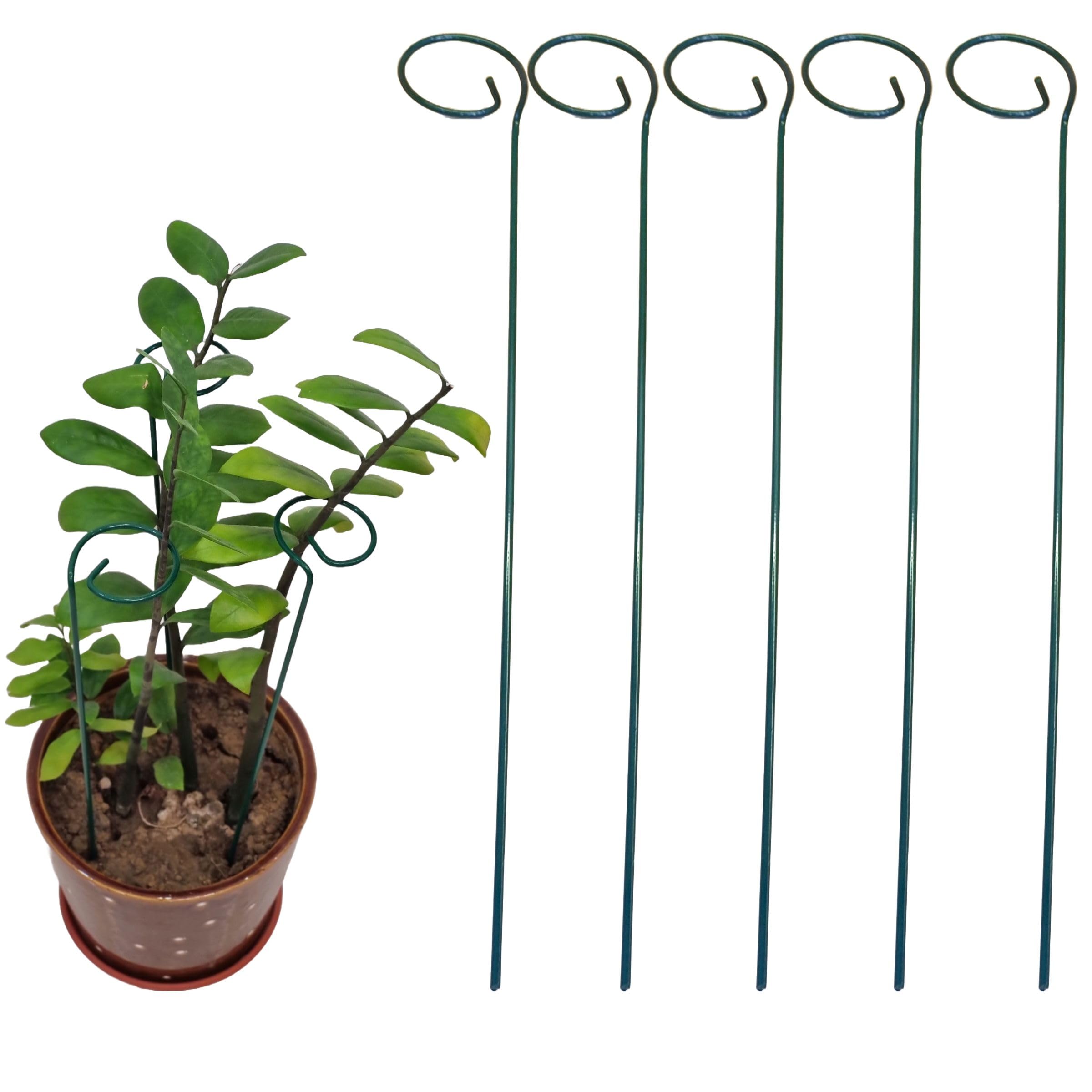 JASN HUT 18 Inch Plant Support Sticks for Indoor & Outdoor Plants| Sturdy Metal Stick for Strong and Healthy Plant Growth |Garden Stakes | Plant Supporter for Climbers (1.5 Ft,Green Color, Pack of 5) (B0D5NJWBWM) Amazon Price History, Amazon Price Tracker