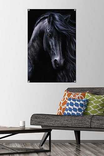 Miniatura 2 de Trends International Laurie Prindle - The Black Wall Poster with Pushpins