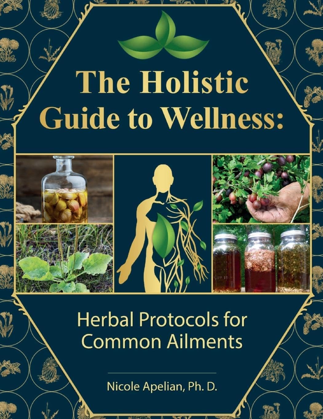 The Holistic Guide to Wellness: Herbal Protocols for Common Ailments Paperback – Big Book, 10 September 2023