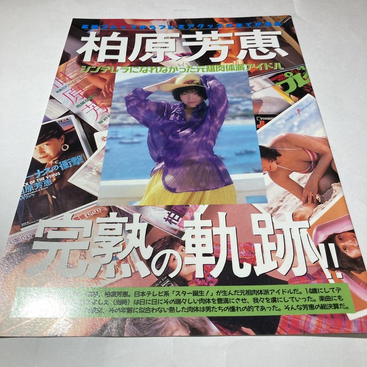 Amazon.co.jp: B-11 切り抜き 柏原芳恵 : おもちゃ