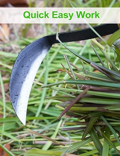 Miniatura 3 de TOYPOPOR Azada japonesa de hoz de deshierbe de 11 pulgadas, desbrozadora de mano de jardinería Nejiri Kama, herramienta de excavación y corte,