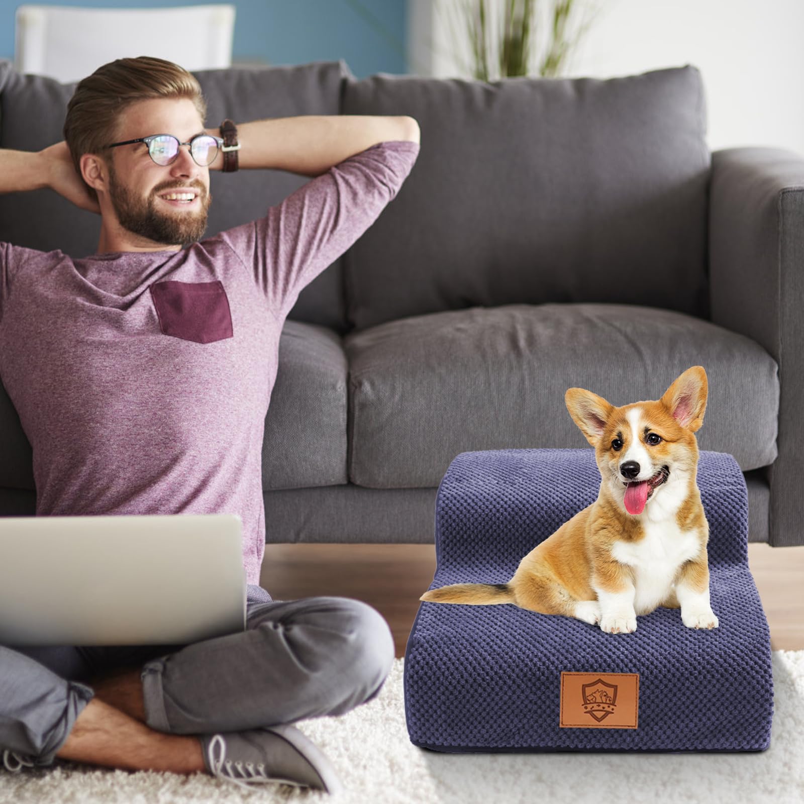 MASTERTOP Scale per Cani a 2 Gradini, Scale Antiscivolo per Animali Domestici in Spugna con Fodera Rimovibile e Lavabile, Rampes Cuccioli Inclinata per Divano Letto (Blu)