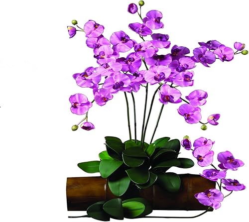 Nearly Natural 2044-MA Phalaenopsis - Juego de 12 unidades