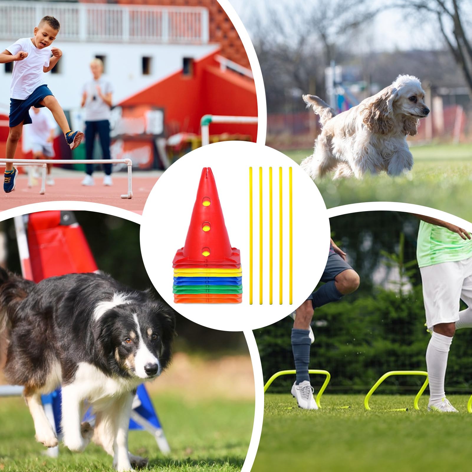 Sprzęt do agility dla psów Zestaw Treningowy z Przeszkodami i Słupkami | Domowy Tor Przeszkód dla Na Zewnątrz, Do Wewnątrz, Do Parku, Ogrodu, Plaży, Lasu, Na Wędrówki, Kemping,