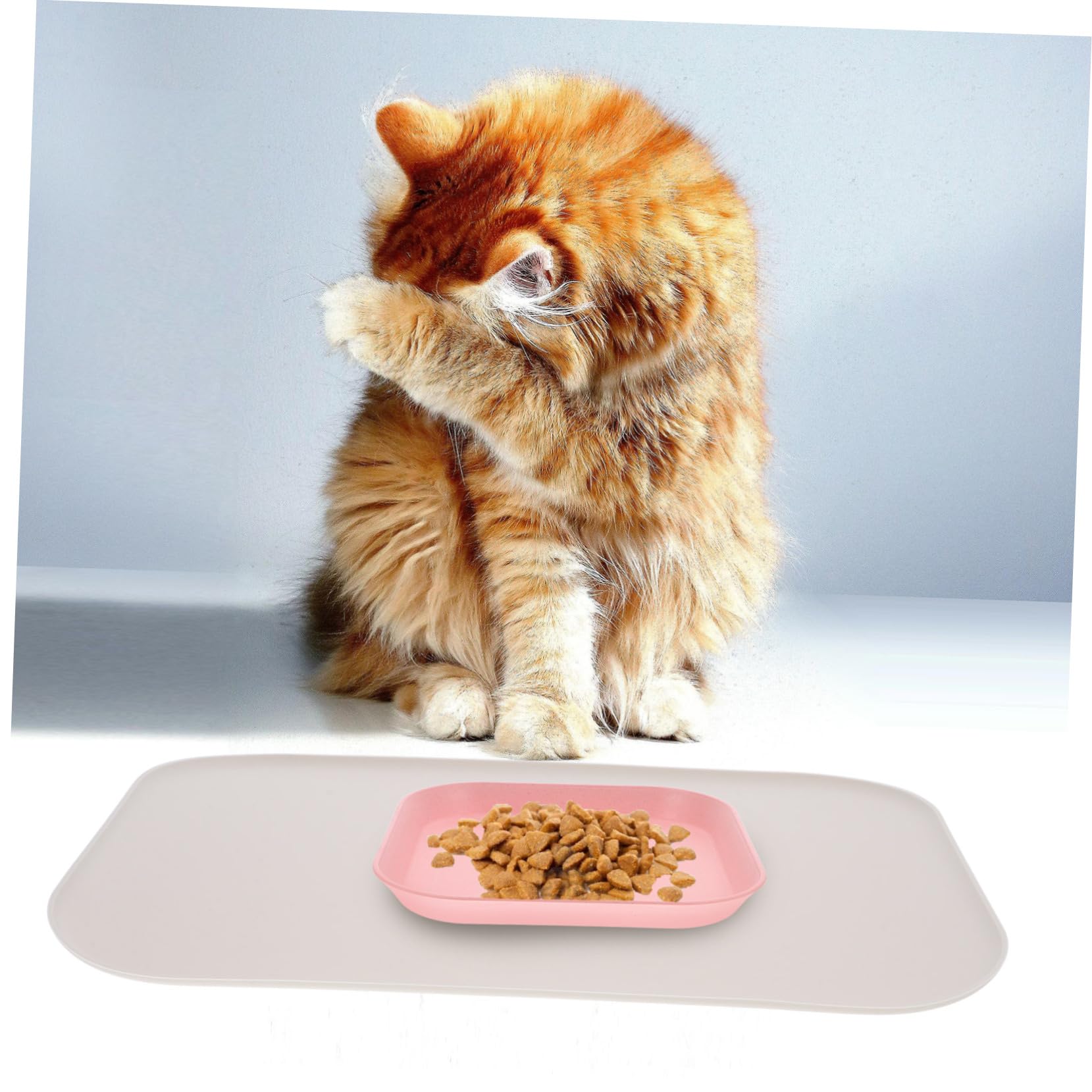 Yardwe 5stücke Puppy Feeding Dish Mat wasserdichte Silikonmatte Mit Erhöhtem Für Haustierfutternäpfe rutschfest Und Leicht Zu Reinigen Für Hunde Und Katzen Verhindert Verschütten